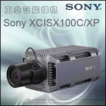 Sony XCISX100C/XP Camera